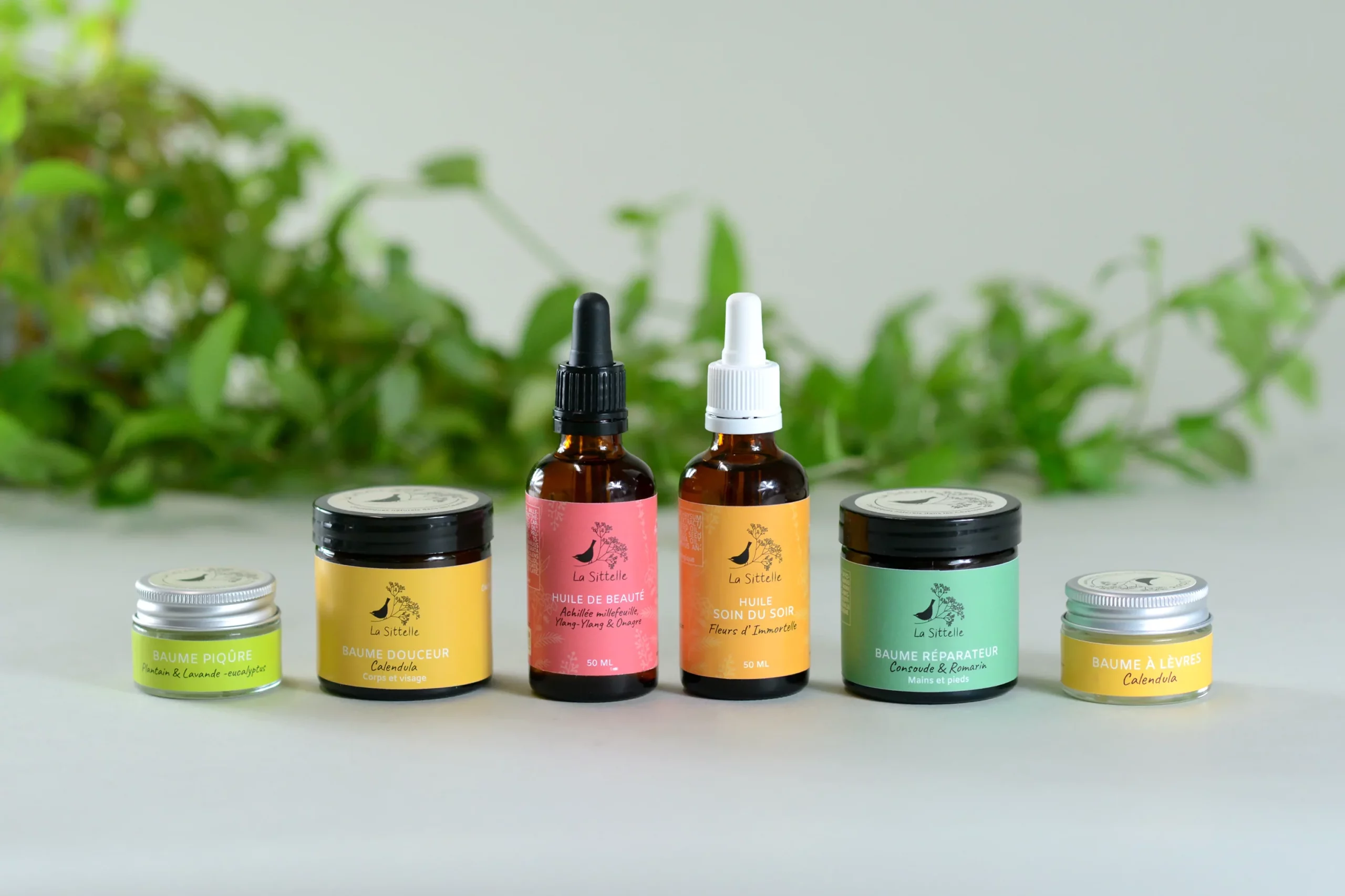 2 banniere cosmetiques edited scaled